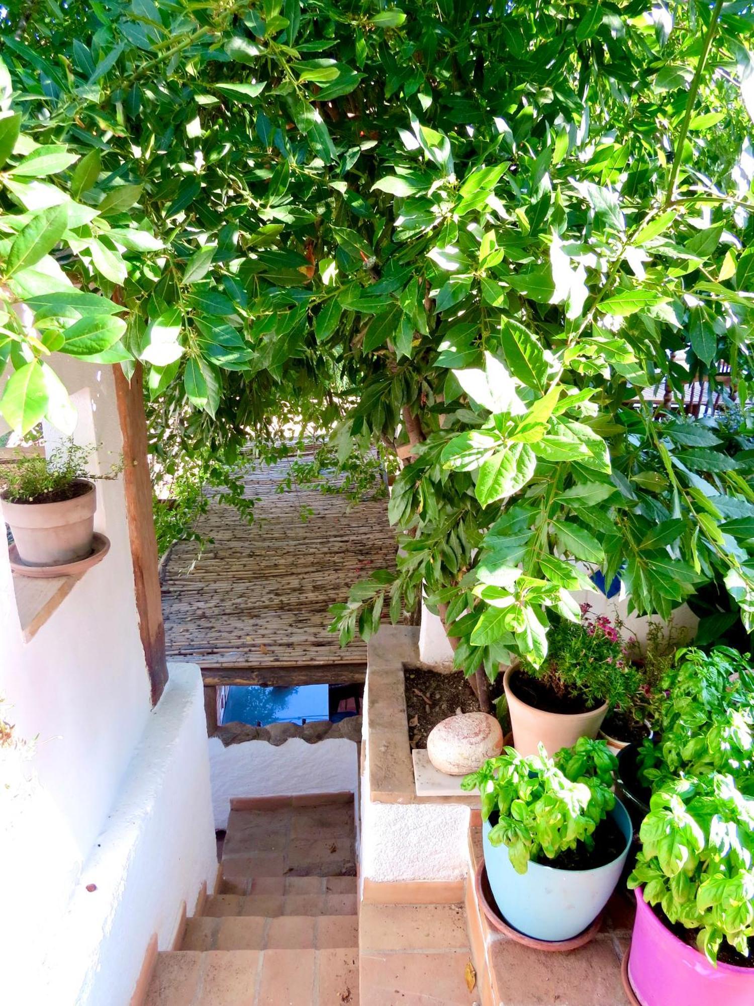 El Encanto Monachil Εξωτερικό φωτογραφία